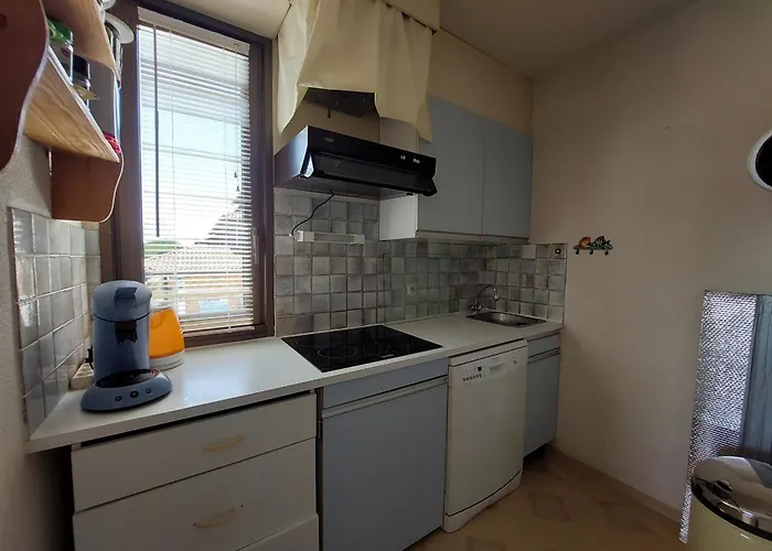 公寓 T2 Au Centre De Vieux-boucau Avec Parking Prive, Proche Des Plages - Fr-1-239-1136 *